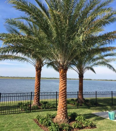 4c3f824f3edc4937ef75d374891ca185