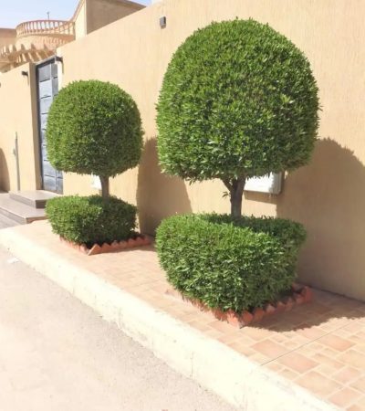 WhatsApp Image 2026-03-26 at 8.42.55 PM (1)